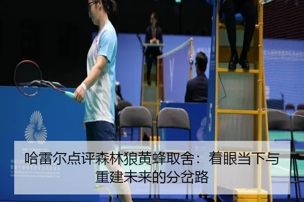 哈雷尔点评森林狼黄蜂取舍：着眼当下与重建未来的分岔路